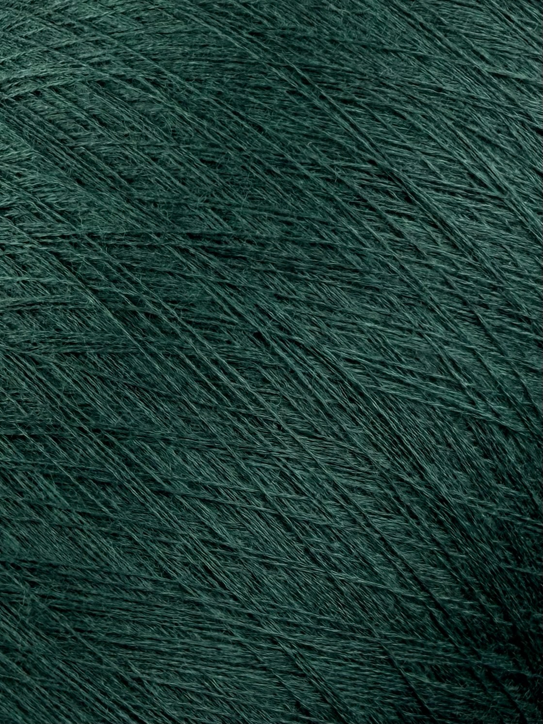 Tollegno 1900 Harmony Nm 2/30 – 100 % Merinowolle extrafein, col. Tannengrün